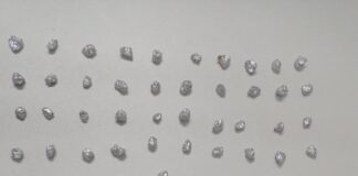 Polícia Civil de Poço Verde prende mulher em flagrante delito de Tráfico de Drogas.