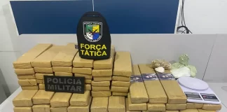 Três mulheres são presas e 66 kg de drogas são apreendidos na Grande Aracaju