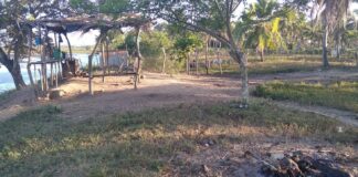 Corpo de idoso é encontrado com ferimentos de arma de fogo no município de Neópolis