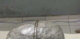 Polícia Civil apreende drogas que seriam comercializadas em Tobias Barreto-SE