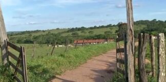 ROÇA INVADIDA EM TOBIAS BARRETO/SE.