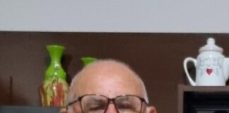 Idoso morre após ser atacado por abelhas na zona rural de Itapicuru/BA.