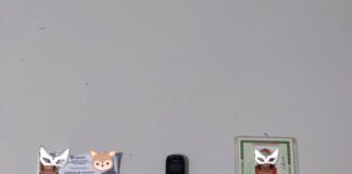 TOBIAS BARRETO: IDOSA DE 83 ANOS É PRESA AO TENTAR ENTRAR EM PRESÍDIO COM MINI APARELHO CELULAR.