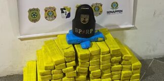 Homem é preso com mais de 40 quilos de maconha na rodovia SE-170 em São Domingos