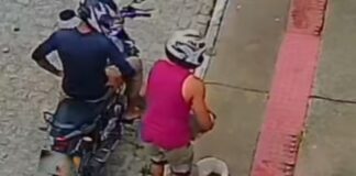 Dois irmãos são indiciados após abandono de gato em parque de Aracaju