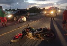 Motociclista morre após bater em cavalo solto na SE-100