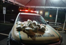 Motorista é preso com cerca de 11 quilos de droga em Indiaroba